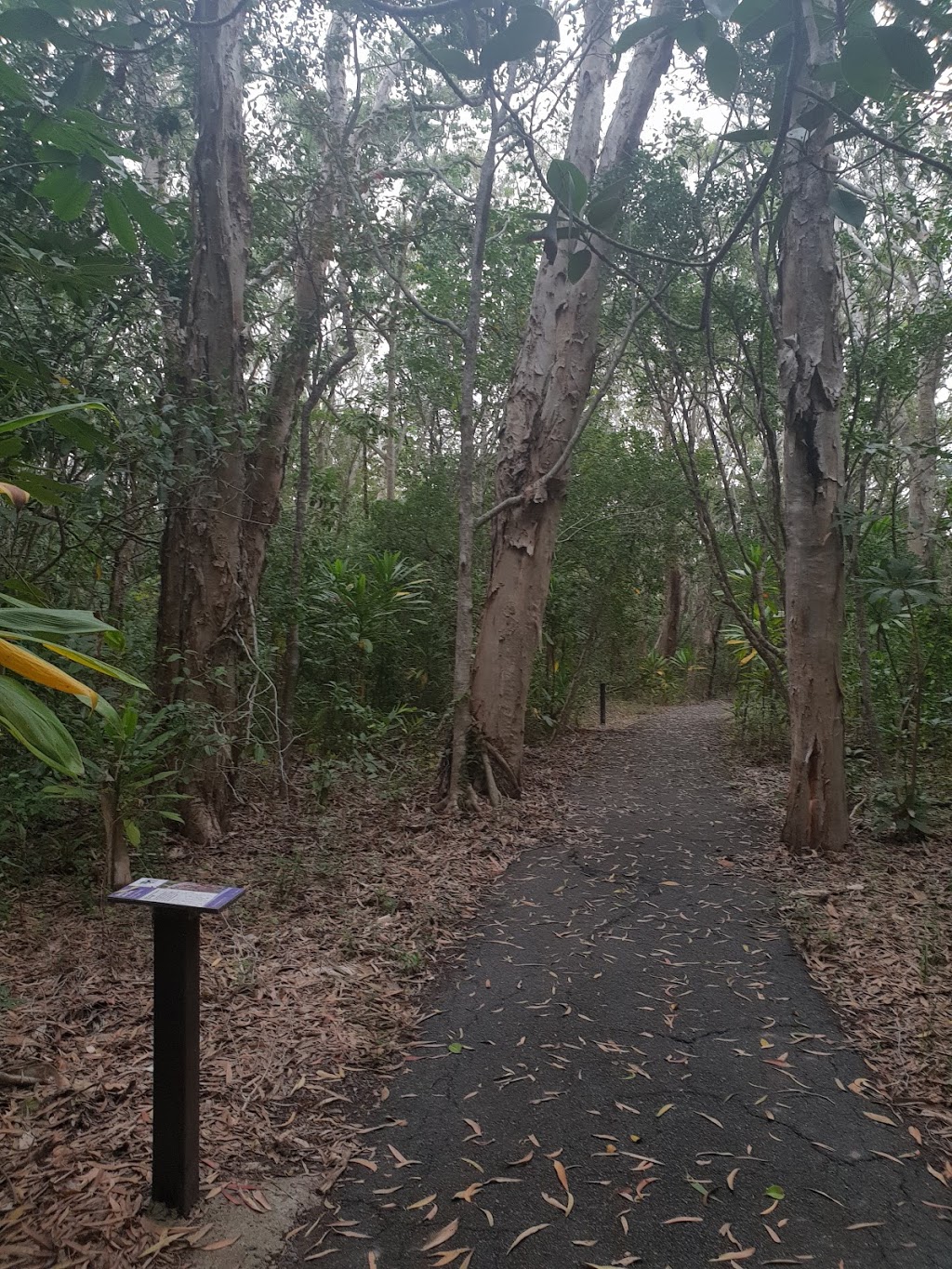 Slade Point Nature Reserve | park | Slade Point QLD 4740, Australia