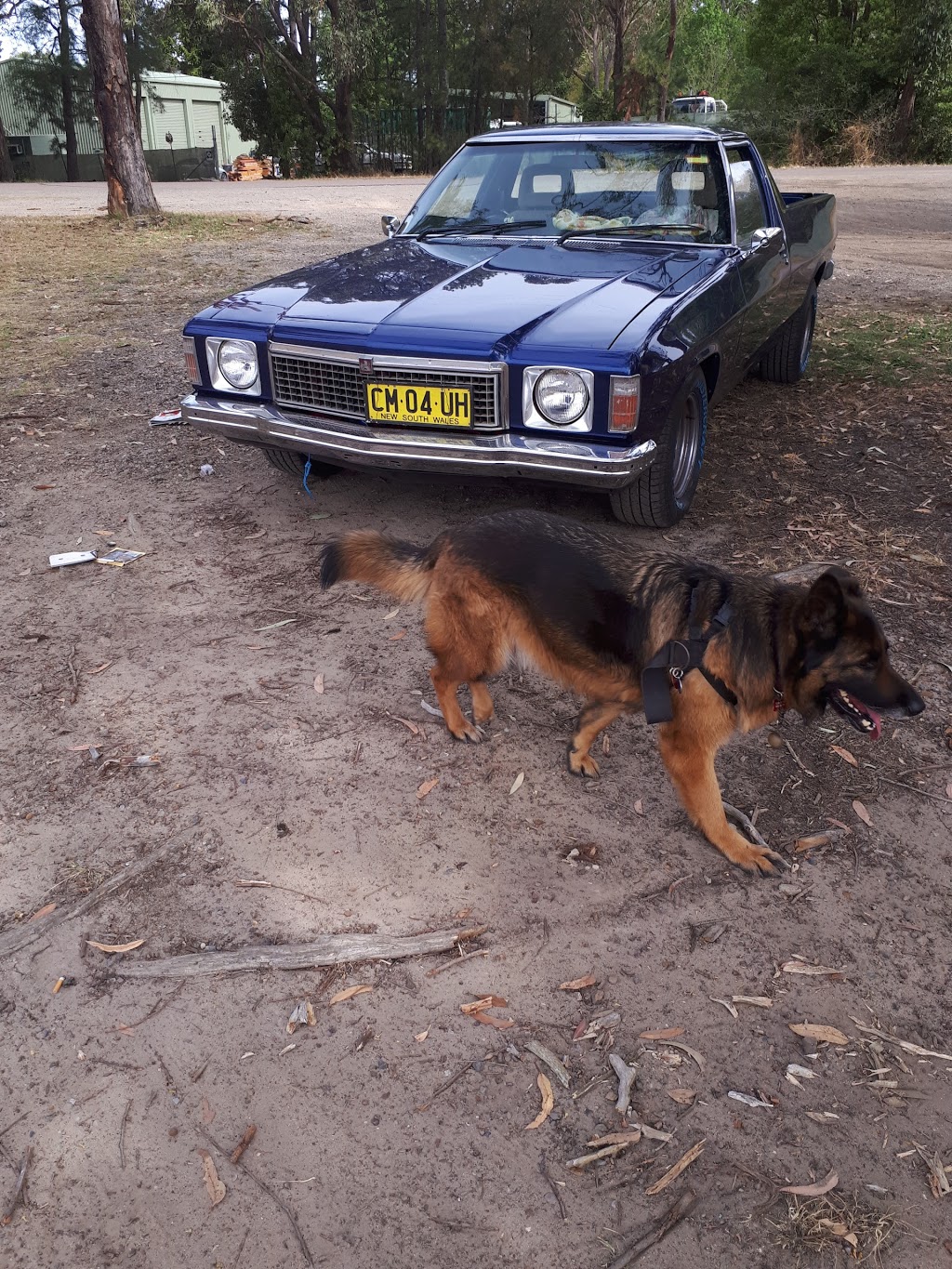 Wyee Dog Exercise Area | park | 11 Tuggarah St, Wyee NSW 2259, Australia