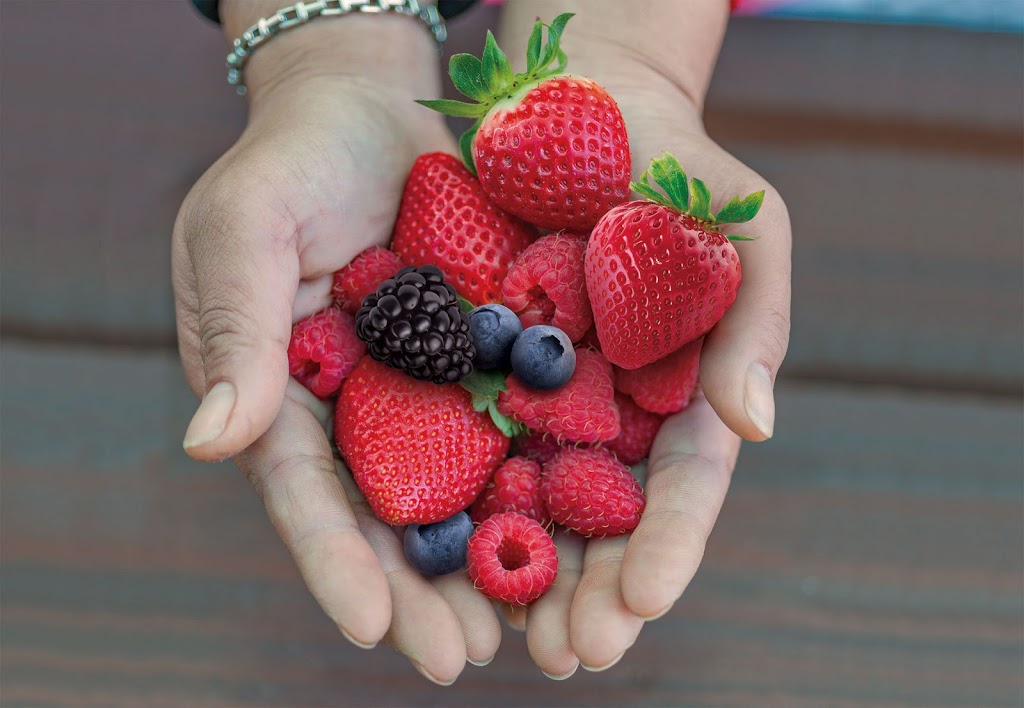 Fresh Berry Co | food | 730 Maroondah Hwy, Coldstream VIC 3770, Australia | 0397391305 OR +61 3 9739 1305