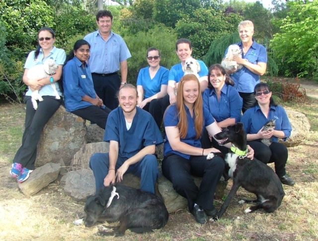 Kooringal Veterinary Hospital | veterinary care | 2 Kimberley Dr, Tatton NSW 2650, Australia | 0269225375 OR +61 2 6922 5375