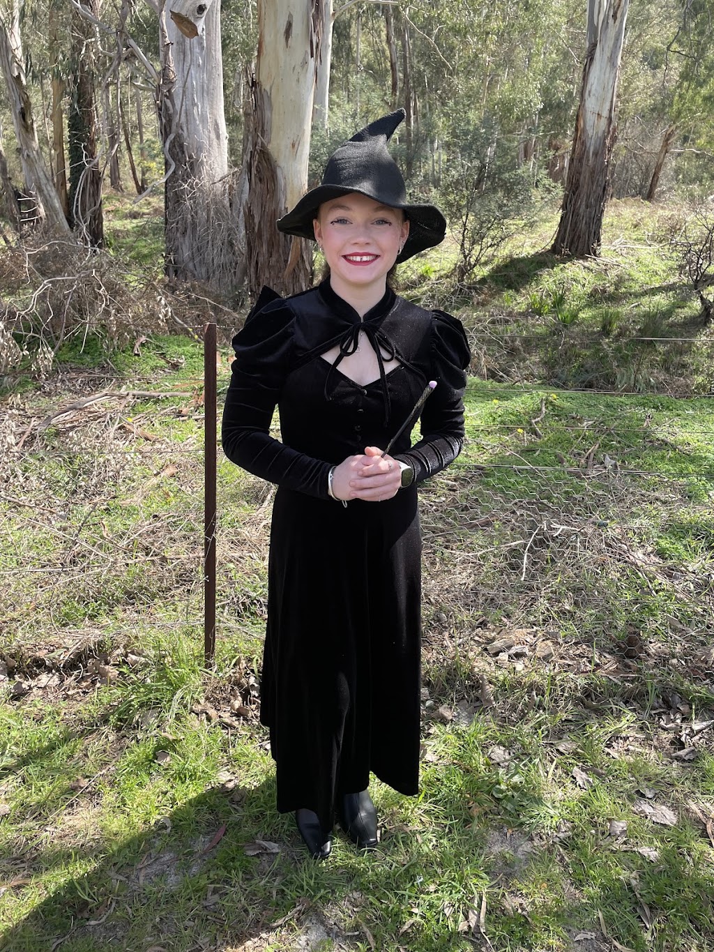 Fairytale Bridge | 1075 Heidelberg - Kinglake Rd, Hurstbridge VIC 3099, Australia | Phone: 0491 085 467