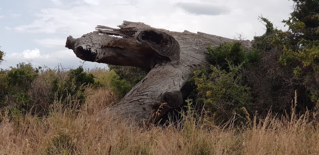 ARM END PUBLIC RECREATION RESERVE | Unnamed Road, Opossum Bay TAS 7023, Australia