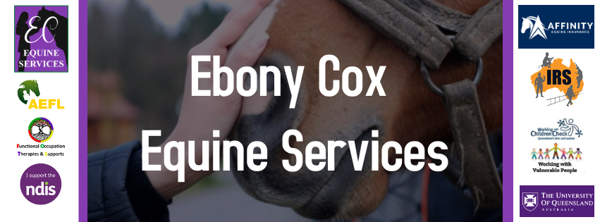 Ebony Cox Equine Services | 885 Glastonbury Rd, Glastonbury QLD 4570, Australia | Phone: 0437 113 513