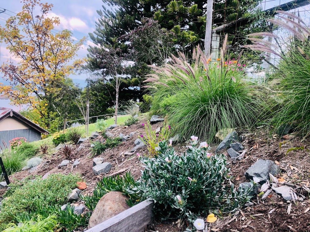 Davide Figliuolo garden design | 1179 Channel Hwy, Huntingfield TAS 7055, Australia | Phone: 0431 008 748