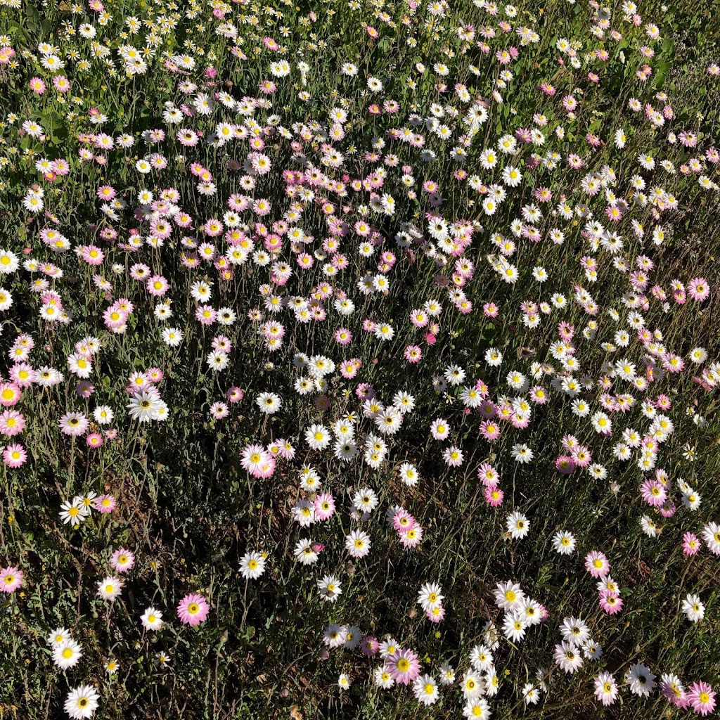 Coalseam Conservation Park | Western Australia 6522, Australia