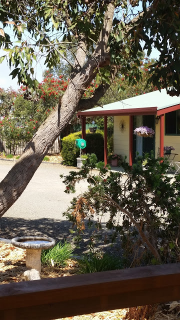 Ficifolia Lodge | lodging | 13 Cook St, Parndana SA 5220, Australia | 0428828400 OR +61 428 828 400