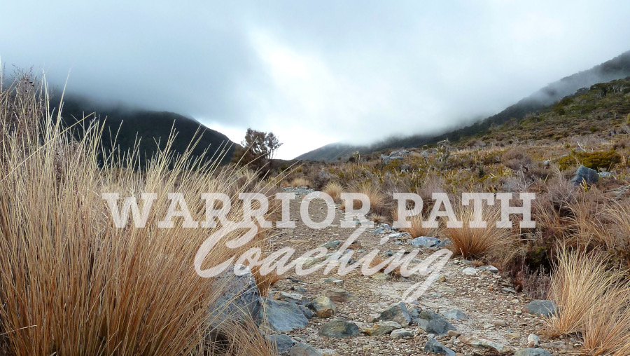 Warrior Path Coaching | health | 497 Crown St, West Wollongong NSW 2500, Australia | 0438406861 OR +61 438 406 861