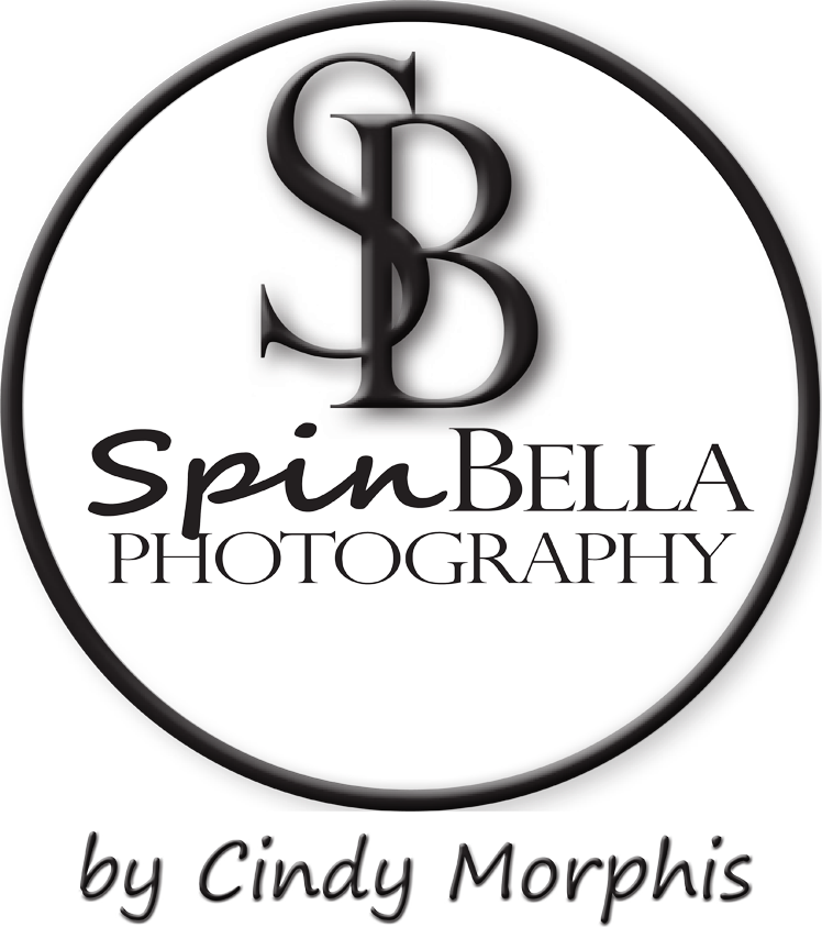 SpinBella Photography | West St, Nowra NSW 2541, Australia | Phone: 0414 472 290