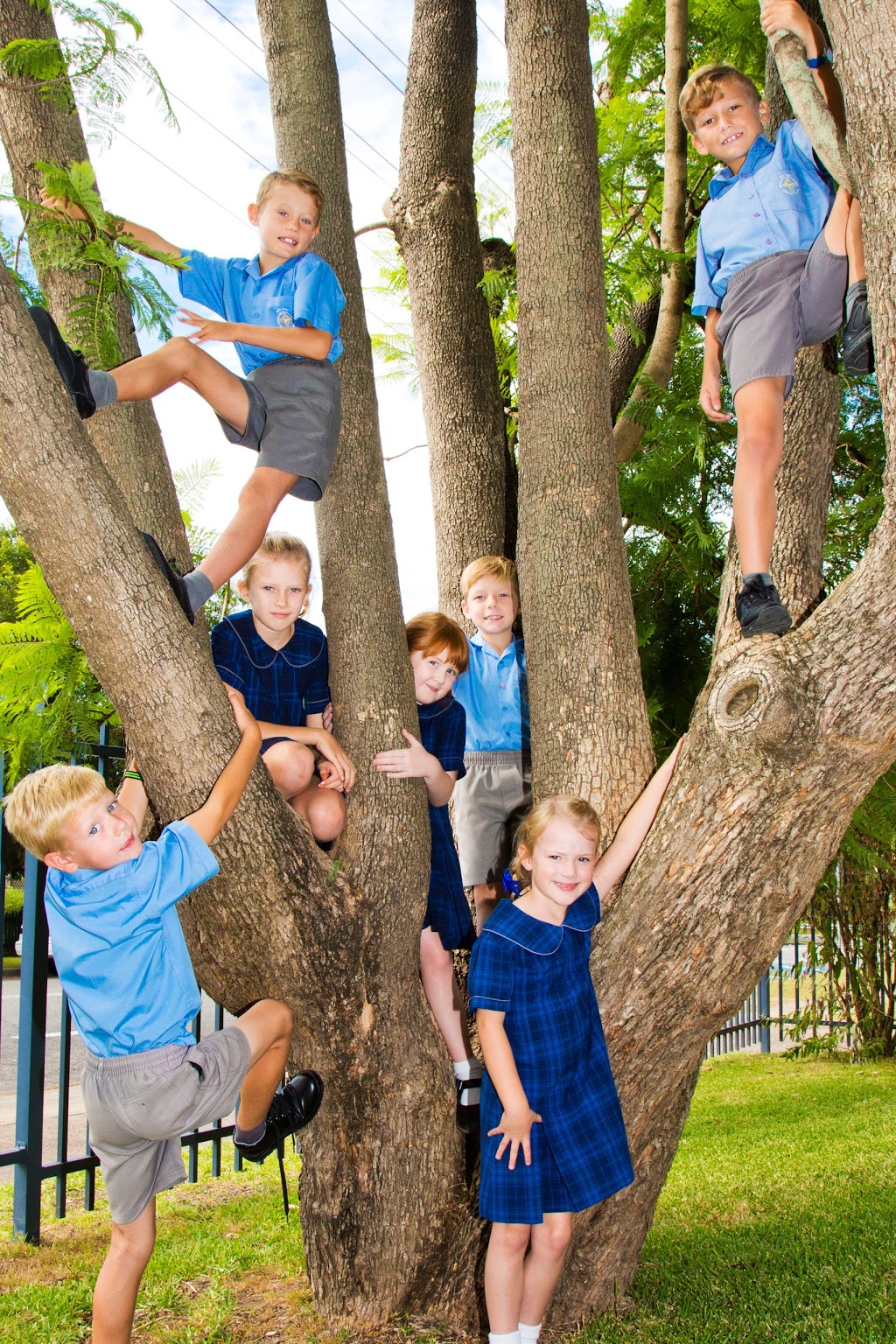 Holy Spirit Infants School | school | Church St, Abermain NSW 2326, Australia | 0249304361 OR +61 2 4930 4361