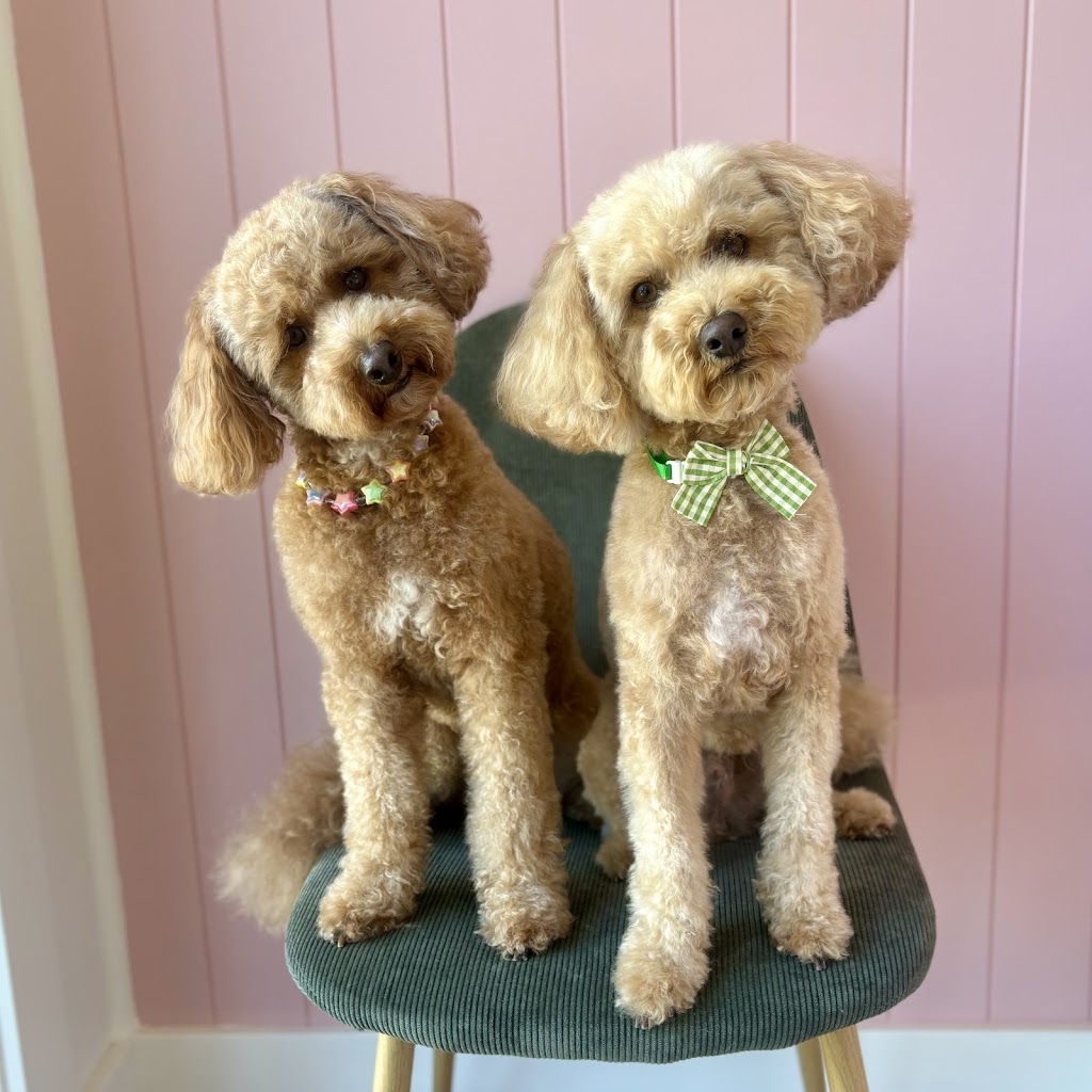Puppy Love Dog Grooming | 15 Honeybee Cres, Calderwood NSW 2527, Australia | Phone: 0468 921 883