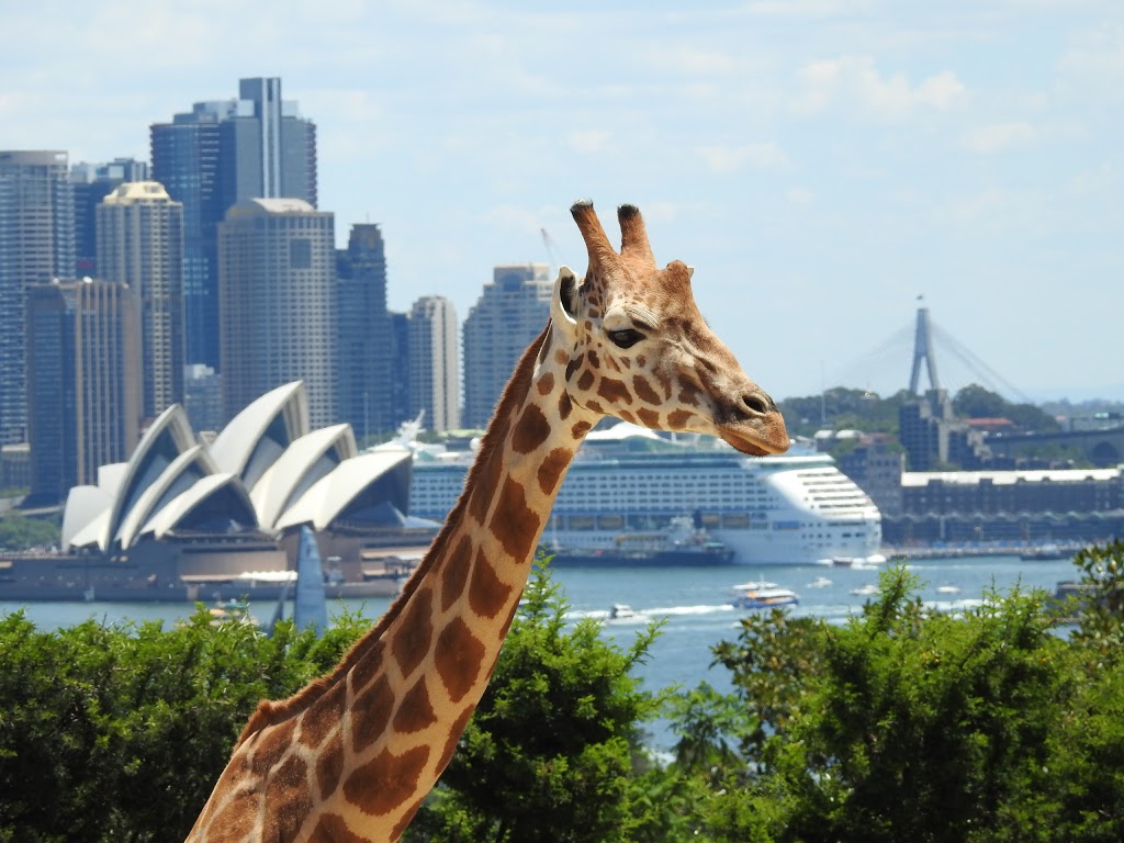 Taronga Zoo Sydney | zoo | Bradleys Head Rd, Mosman NSW 2088, Australia | 0299692777 OR +61 2 9969 2777