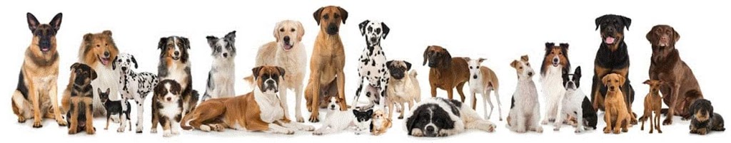 Dog Grooming by Inese |  | Fullbrook Dr, Sunbury VIC 3429, Australia | 0423009822 OR +61 423 009 822