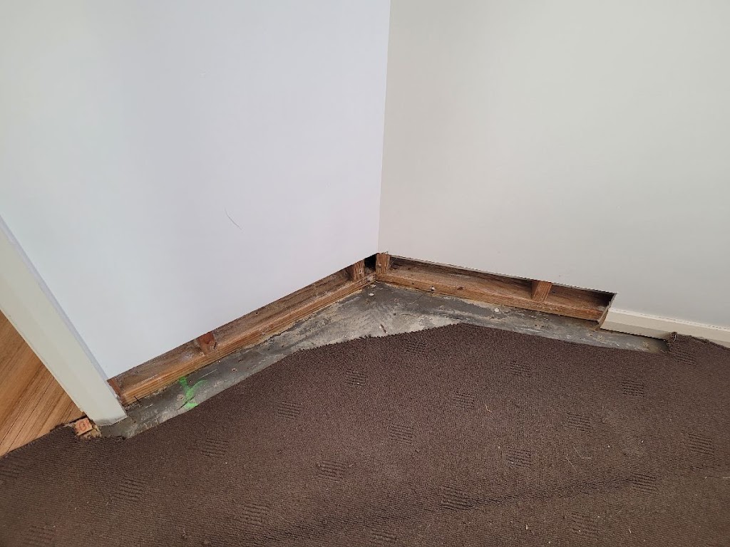 MouldMen - Mould Gone | 4/37 Expansion St, Molendinar QLD 4214, Australia | Phone: 1300 605 960