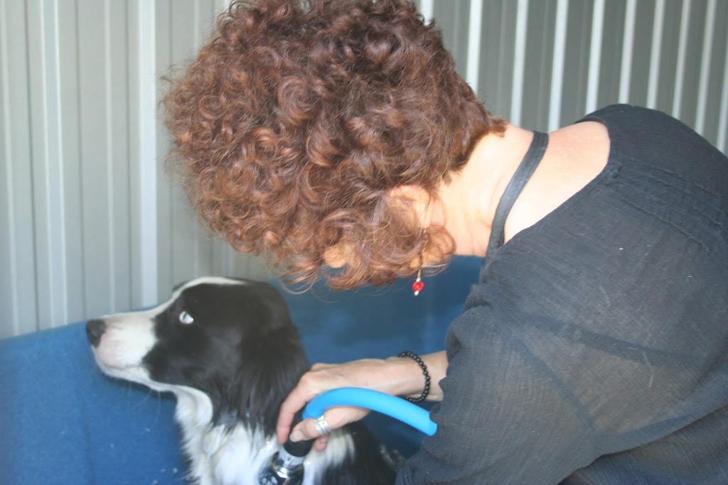 K9 Klips Dog Grooming Warwick | 125 Schoch Rd, Warwick QLD 4370, Australia | Phone: 0419 703 720