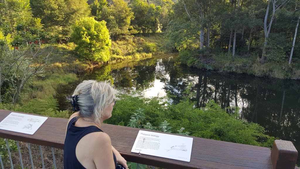 Platypus Viewing Platform (Maleny) | museum | North Maleny QLD 4552, Australia