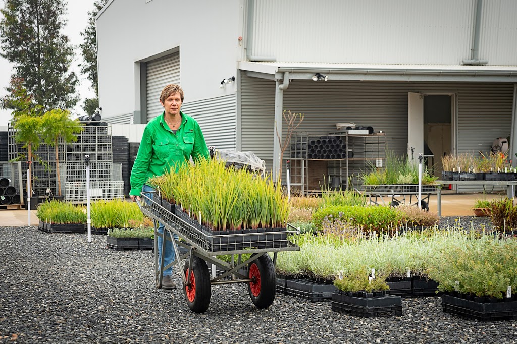 Edinburgh Parks Nursery (Wholesale only) | 66-68 West Ave, Edinburgh SA 5111, Australia | Phone: 0438 895 160