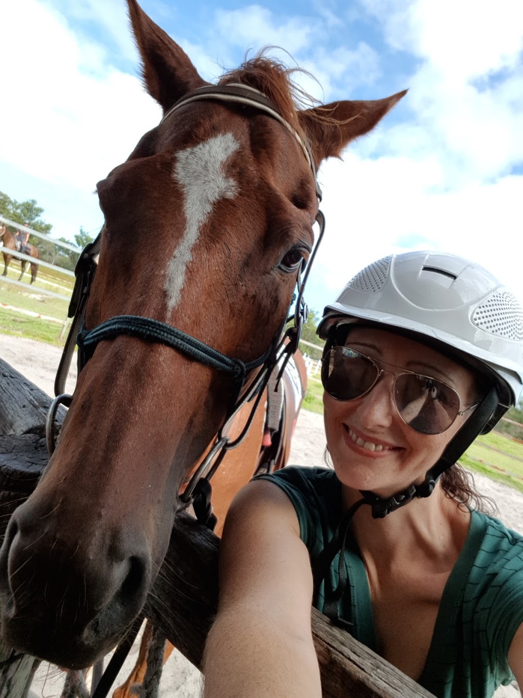 Noosa Horse Riding | 22 Wills Road, Weyba Downs QLD 4562, Australia | Phone: 0438 710 530