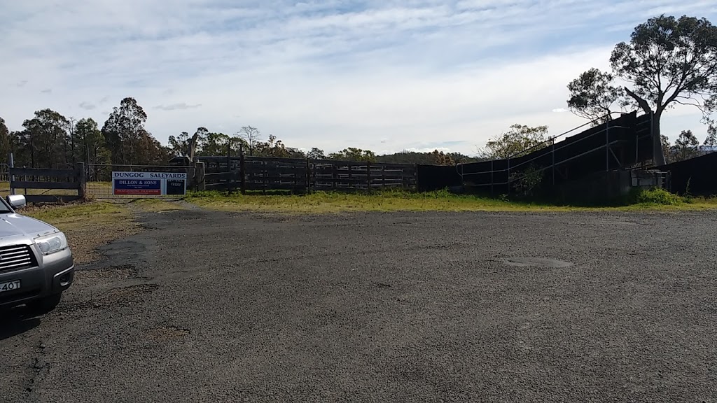 Dungog Saleyards | Short St, Dungog NSW 2420, Australia | Phone: (02) 4992 1704