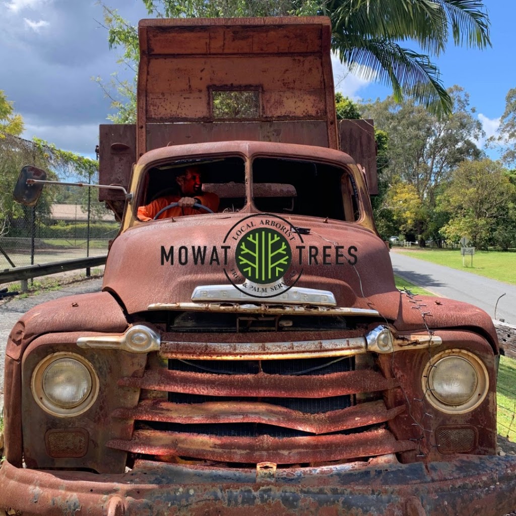 MOWAT TREES | Arborist | Tree & Palm Services | 10 Market St, Carrara QLD 4221, Australia | Phone: 0482 613 537