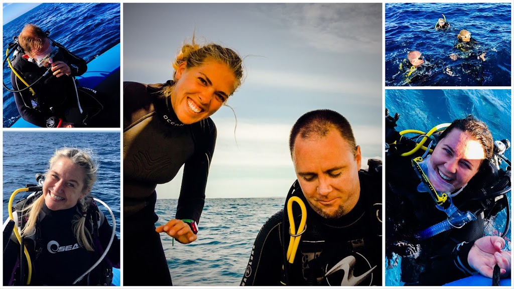 The Scuba Coach (Head Office) | travel agency | Admin Office Only. Dive Store located at Runaway Bay Marina, 2/3 Parneno St, Surfers Paradise QLD 4216, Australia | 0730407848 OR +61 7 3040 7848