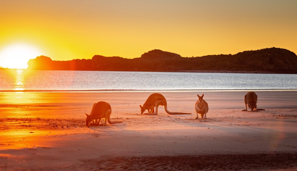 Sacred Voyage Tours | travel agency | Seaview Dr, Airlie Beach QLD 4802, Australia | 0409047478 OR +61 409 047 478