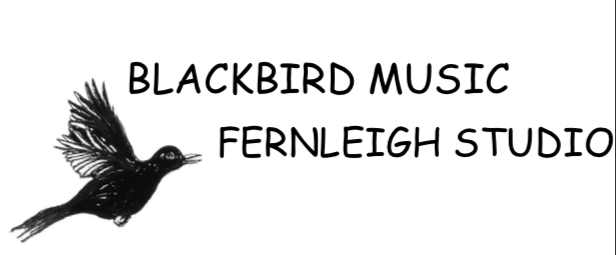 Blackbird Music Fernleigh Studio | 570 Wallington road, Wallington VIC 3222, Australia | Phone: 0467 620 231