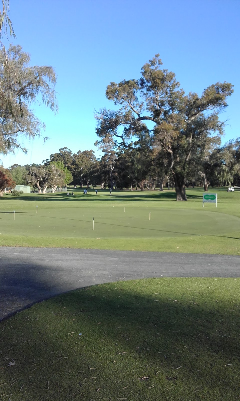 Busselton Golf Club | store | 277 Chapman Hill Rd, Busselton WA 6280, Australia | 0897531050 OR +61 8 9753 1050