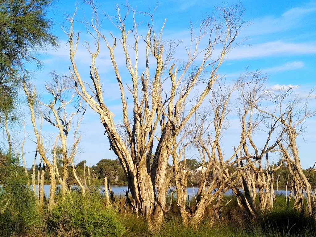 Baigup Wetlands | park | Bayswater WA 6053, Australia