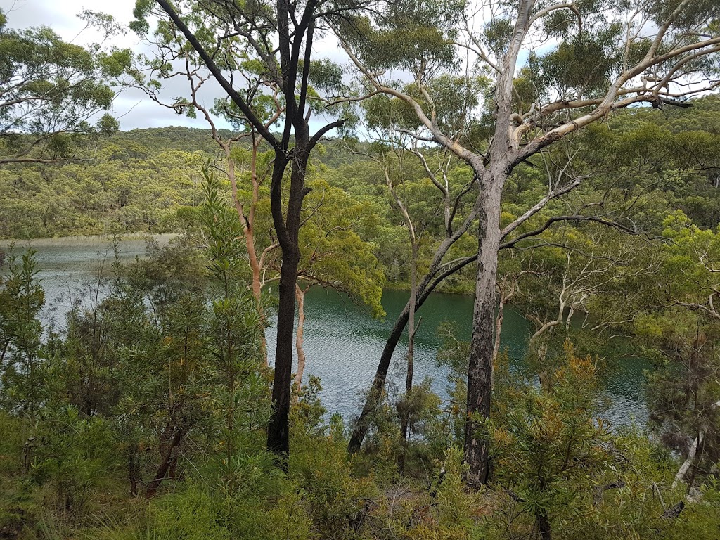 Blue Lake National Park | North Stradbroke Island QLD 4183, Australia | Phone: 13 74 68