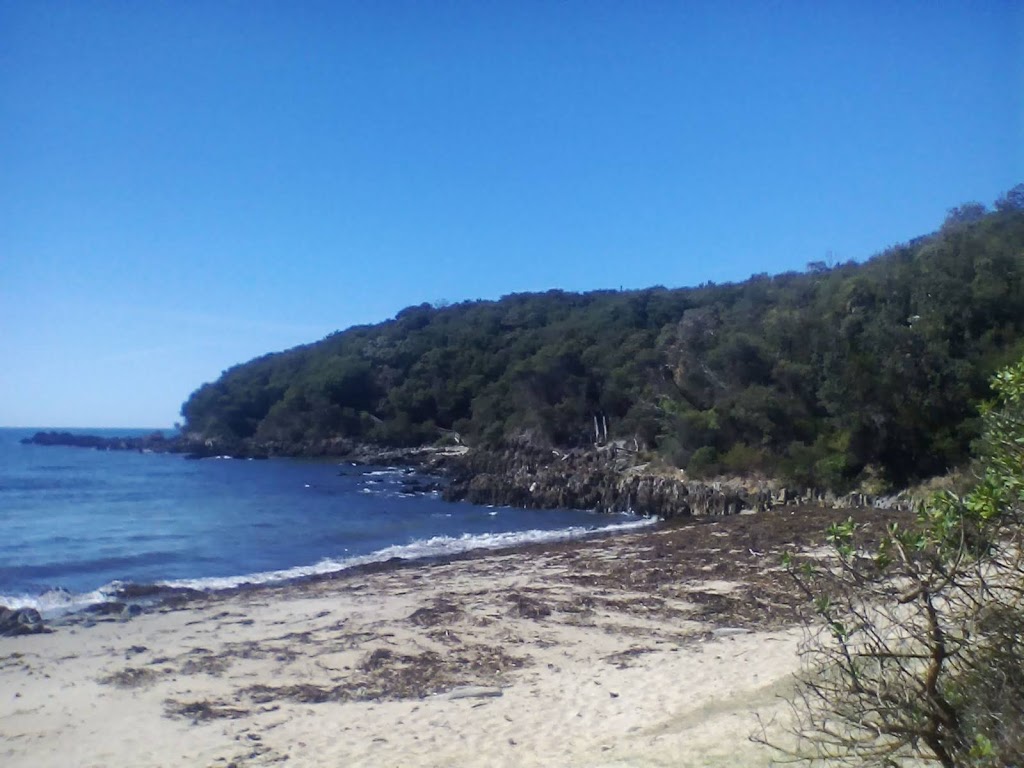 Sailors Grave | park | Cape Conran VIC 3888, Australia