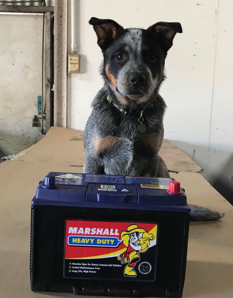 Marshall Batteries Seymour | car repair | 45 Wallis St, Seymour VIC 3660, Australia | 1300465537 OR +61 1300 465 537