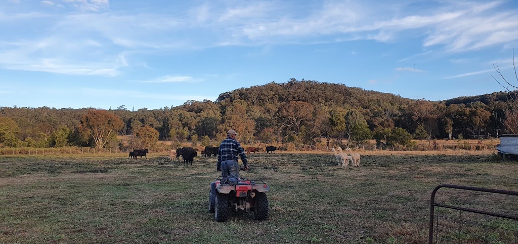 Eaglestone | lodging | 320 Breakfast Creek Rd, Breakfast Creek NSW 2849, Australia | 0403399717 OR +61 403 399 717