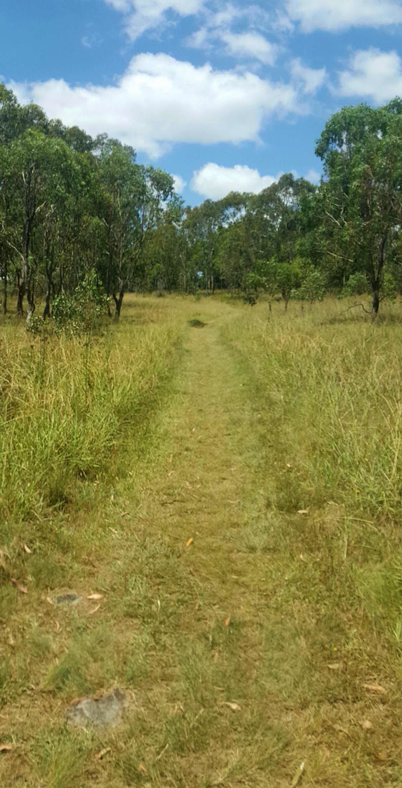 Tenterfield Park (Dog Park) | Tenterfield NSW 2372, Australia