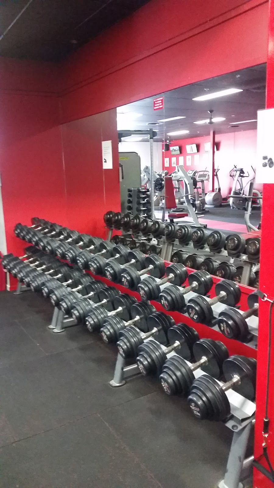 Sierra Fitness Mermaid Waters | 14 Allandale Entrance, Mermaid Waters QLD 4218, Australia | Phone: (07) 5526 0152