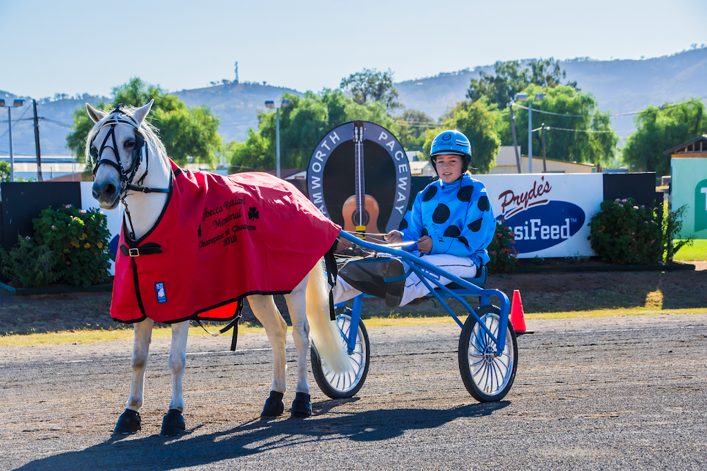 New South Wales Mini Trotting Association | 3 Ridge St, Junee NSW 2663, Australia | Phone: 0481 265 420