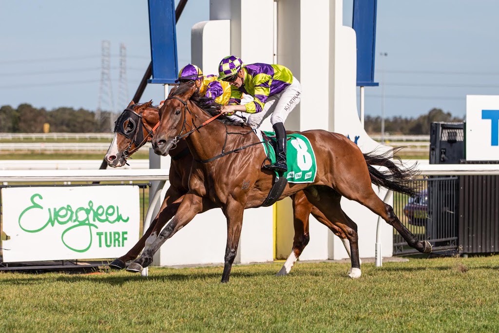 Markwell racing | 3 Manikato Pl, Kembla Grange NSW 2526, Australia | Phone: 0470 647 269