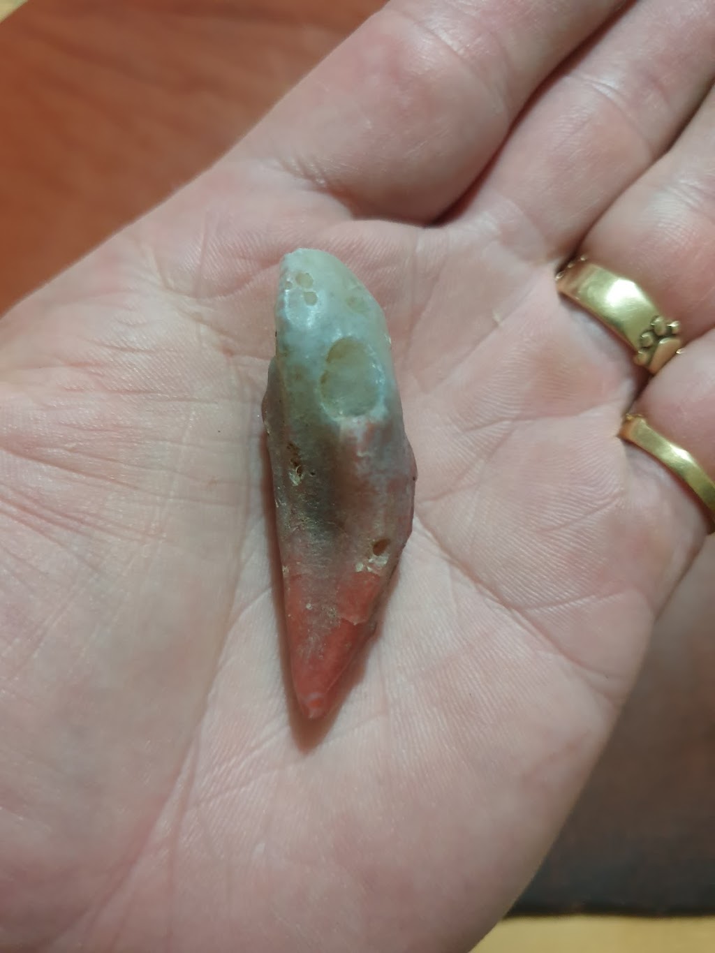 Beenleigh Lapidary Club | 69 Kent St, Beenleigh QLD 4207, Australia | Phone: 0478 527 597