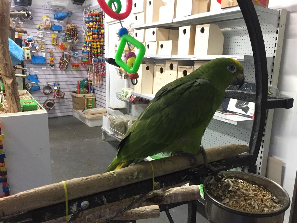Victorian Bird Co | pet store | 2/2 Shaft Ct, Hoppers Crossing VIC 3029, Australia | 0383608887 OR +61 3 8360 8887