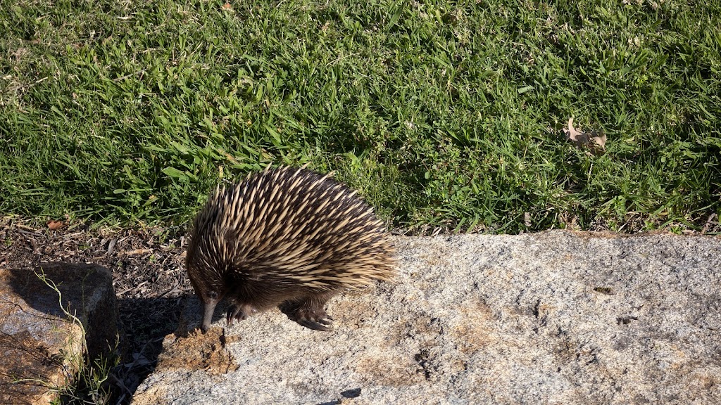 Paradise Point | Toorloo Arm VIC 3909, Australia | Phone: 0438 941 954