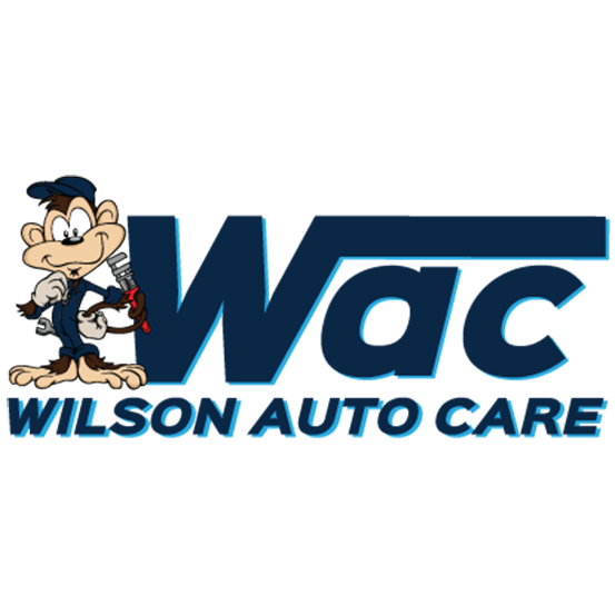 Wilson Auto Care | 1099 David Low Way, Marcoola QLD 4564, Australia | Phone: 0421 927 787