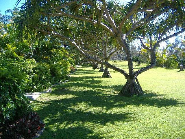 Hideaway Resort | Cabarita Beach NSW 2488, Australia | Phone: (02) 6676 1444