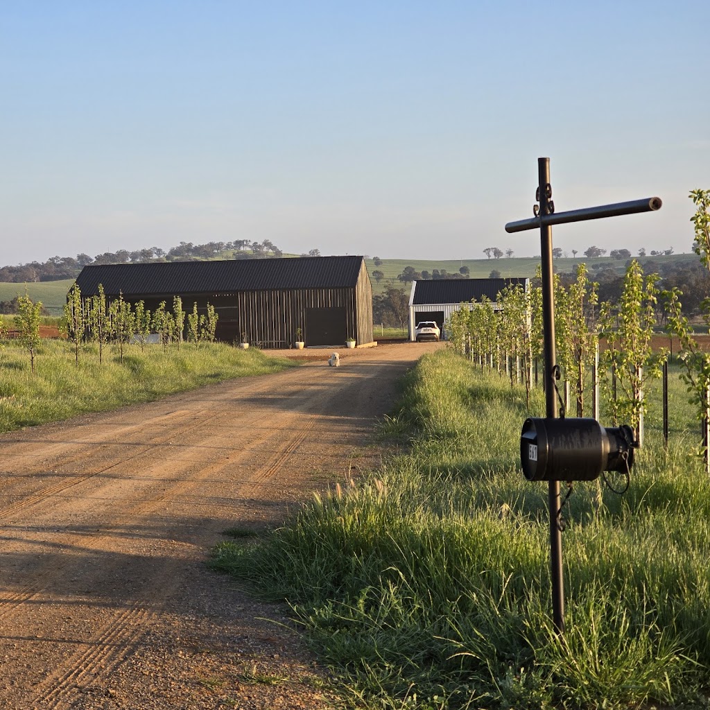 Bulmar Pastoral | 567 Gregra Rd, Manildra NSW 2865, Australia | Phone: 0405 452 555