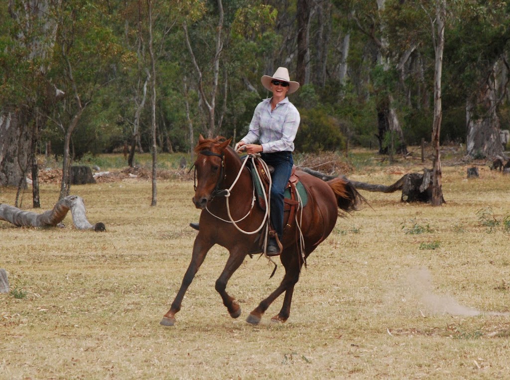 Cavallo Acres Horsemanship | Baldwin Rd, Harston VIC 3616, Australia | Phone: 0417 302 061