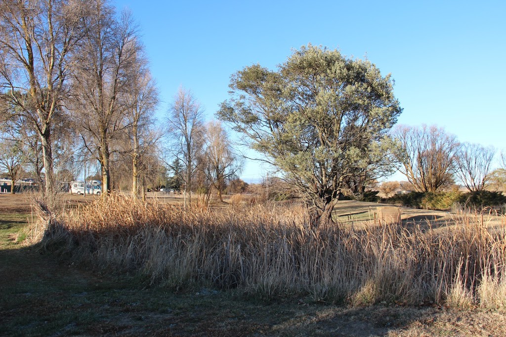 Mother of Ducks Nature Reserve | Guyra NSW 2365, Australia | Phone: (02) 6738 9100