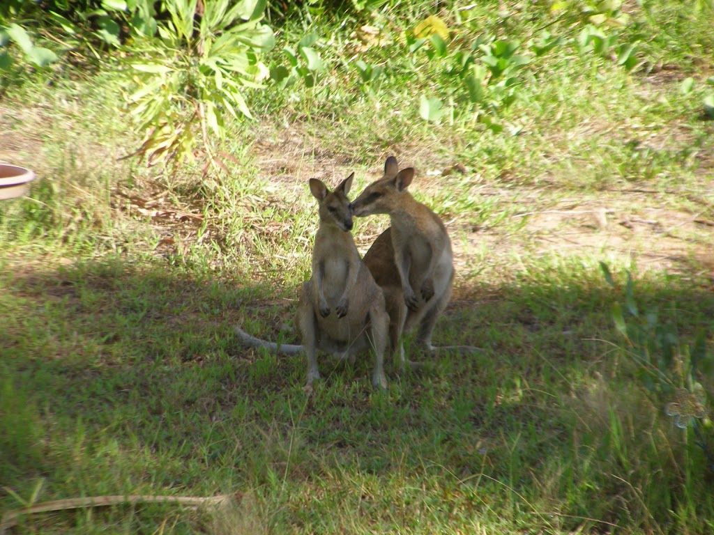 Wagait Beach Holiday Houses | lodging | 132 Cox Dr, Wagait Beach NT 0822, Australia | 0407003540 OR +61 407 003 540