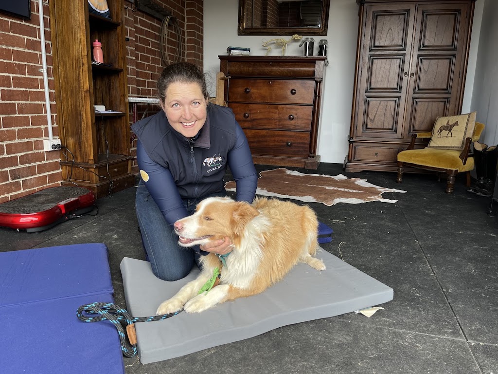 Happy Dogs Osteopathy | 15 Mullers Rd, St Andrews VIC 3761, Australia | Phone: 0400 443 463