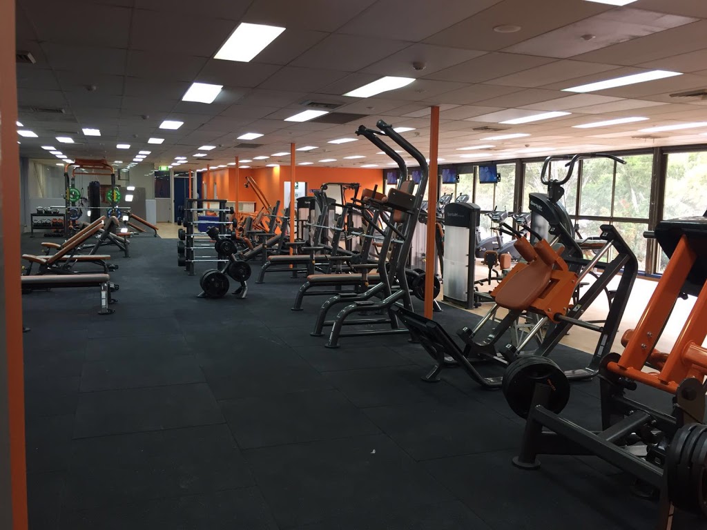 Plus Fitness 24/7 Kingsgrove | gym | 5/1 The Crescent, Kingsgrove NSW 2208, Australia | 0291505233 OR +61 2 9150 5233