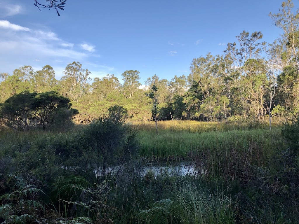 ISTARI - Australian Bush Life | 1074 Stockyard Creek Rd, Stockyard Creek NSW 2460, Australia | Phone: 0458 009 679