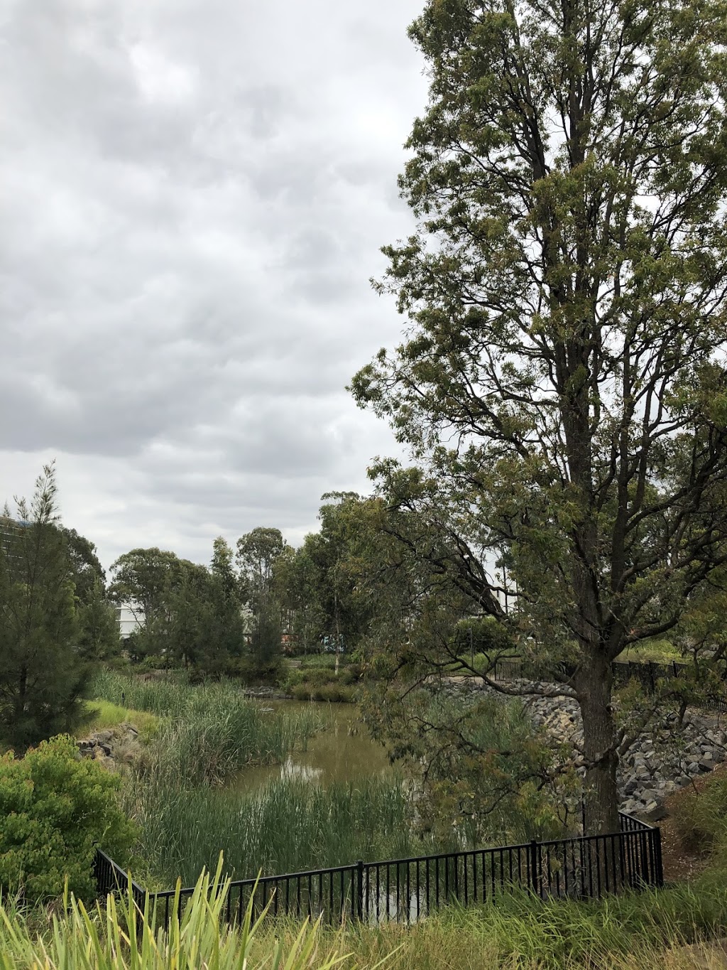 Stangers Creek Park | park | Baulkham Hills NSW 2153, Australia