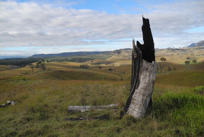 Ketchups Bank Glamping | 726 Green Hills Road Cannon Creek, Boonah QLD 4310, Australia | Phone: 0466 644 934